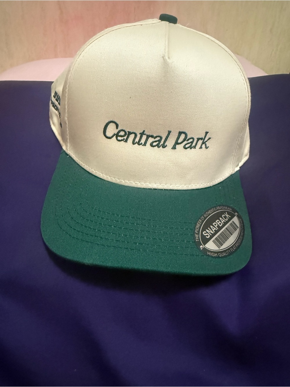 Thompson White and Green Central Park Snapback Hat
